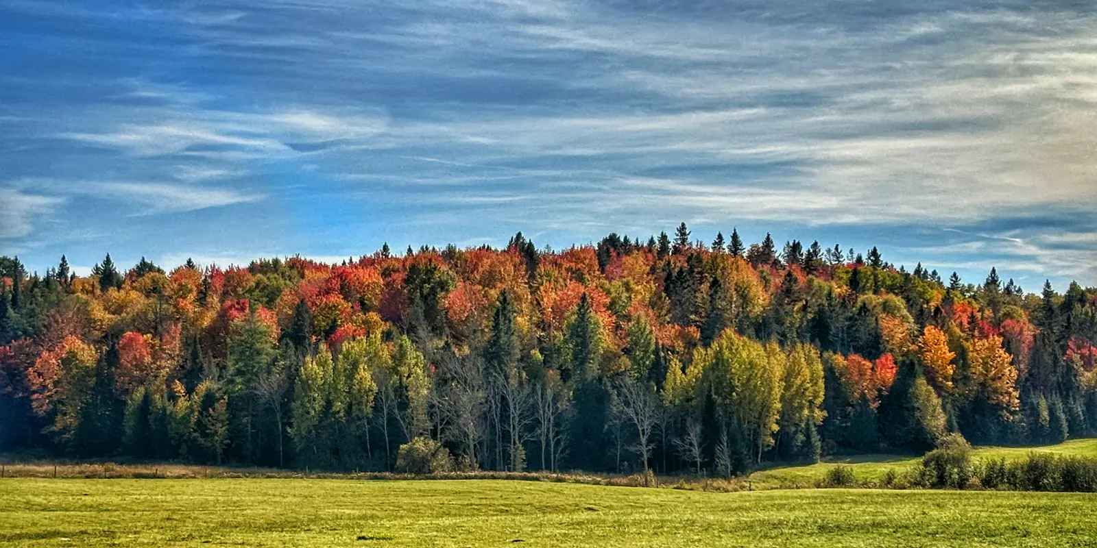 Township Services | Township of Bonfield